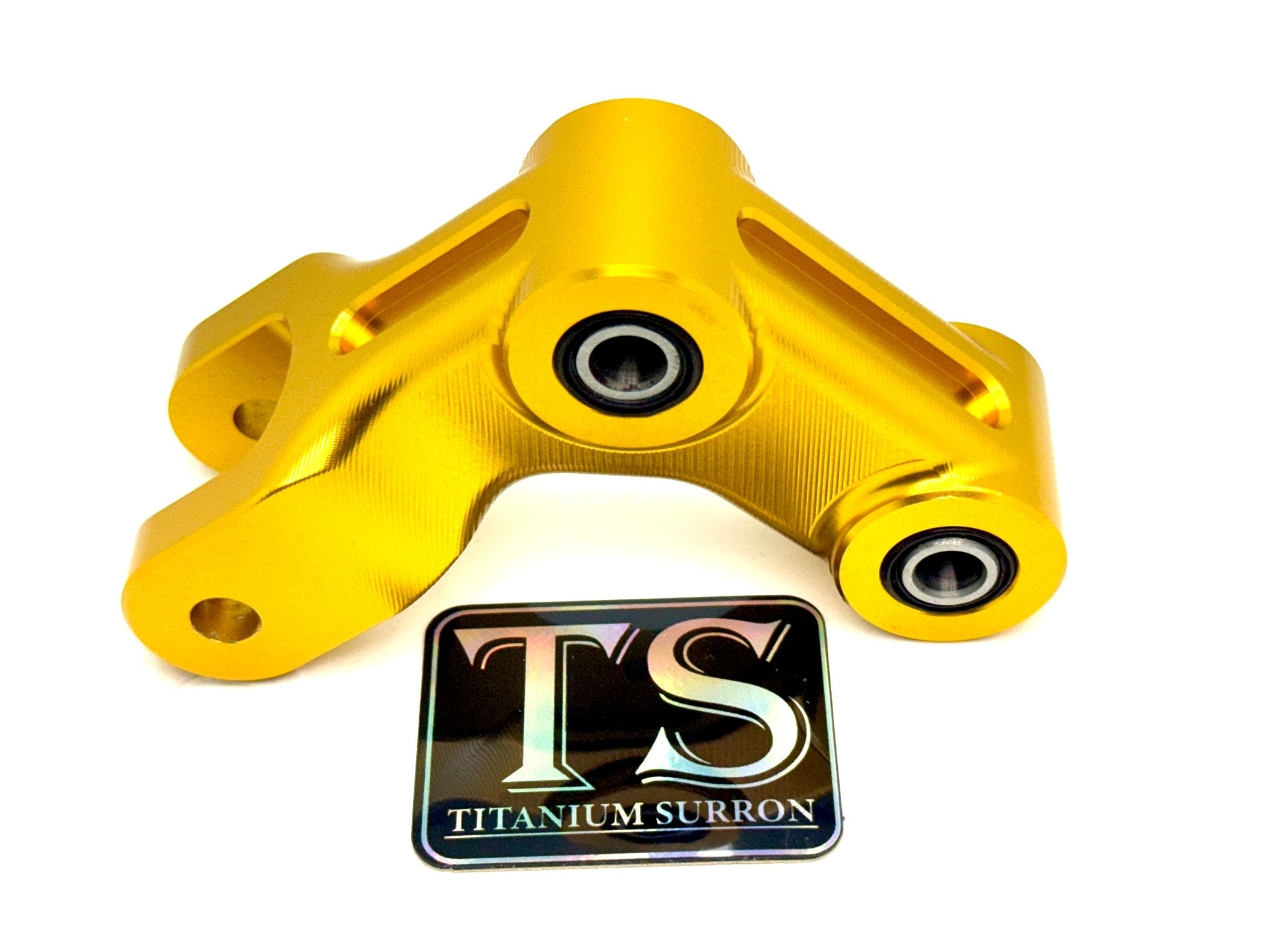 E-Ride Pro (All Models) Custom Rear Suspension Rocker Arm