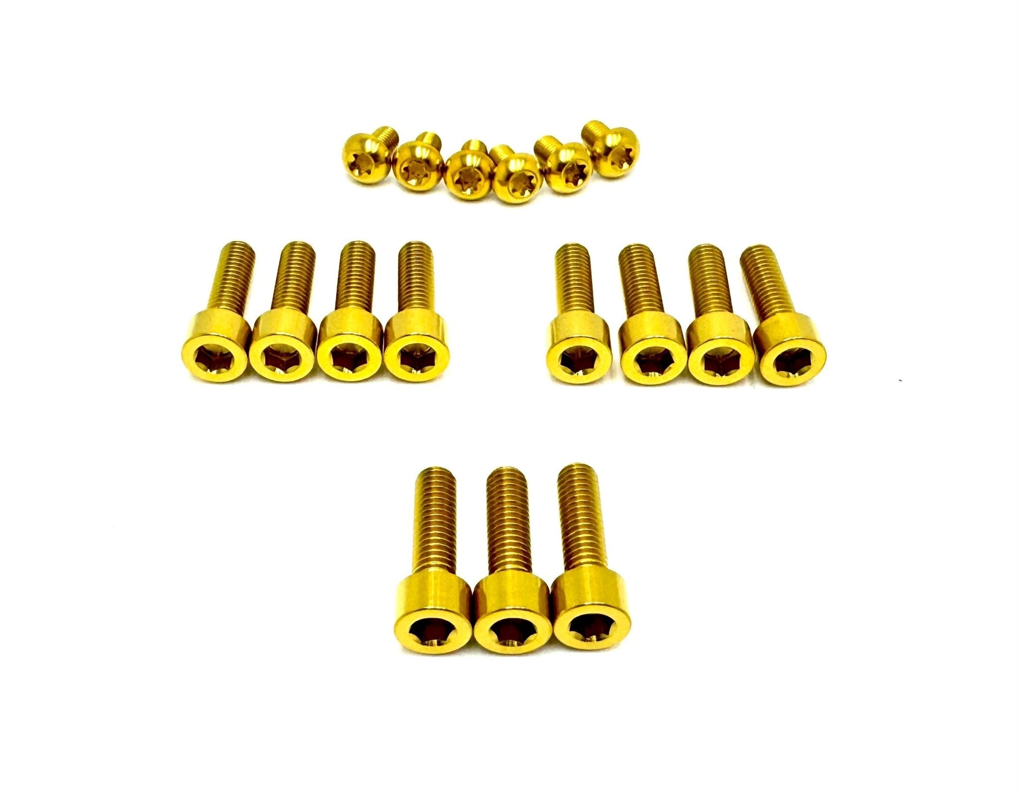 Titanium Bolt Kit for E-Ride Pro SR and Pro SS 3.0 Factory FastAce Fork (ALX32RC)