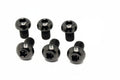 Titanium Controller Mount Bolts for E-moto