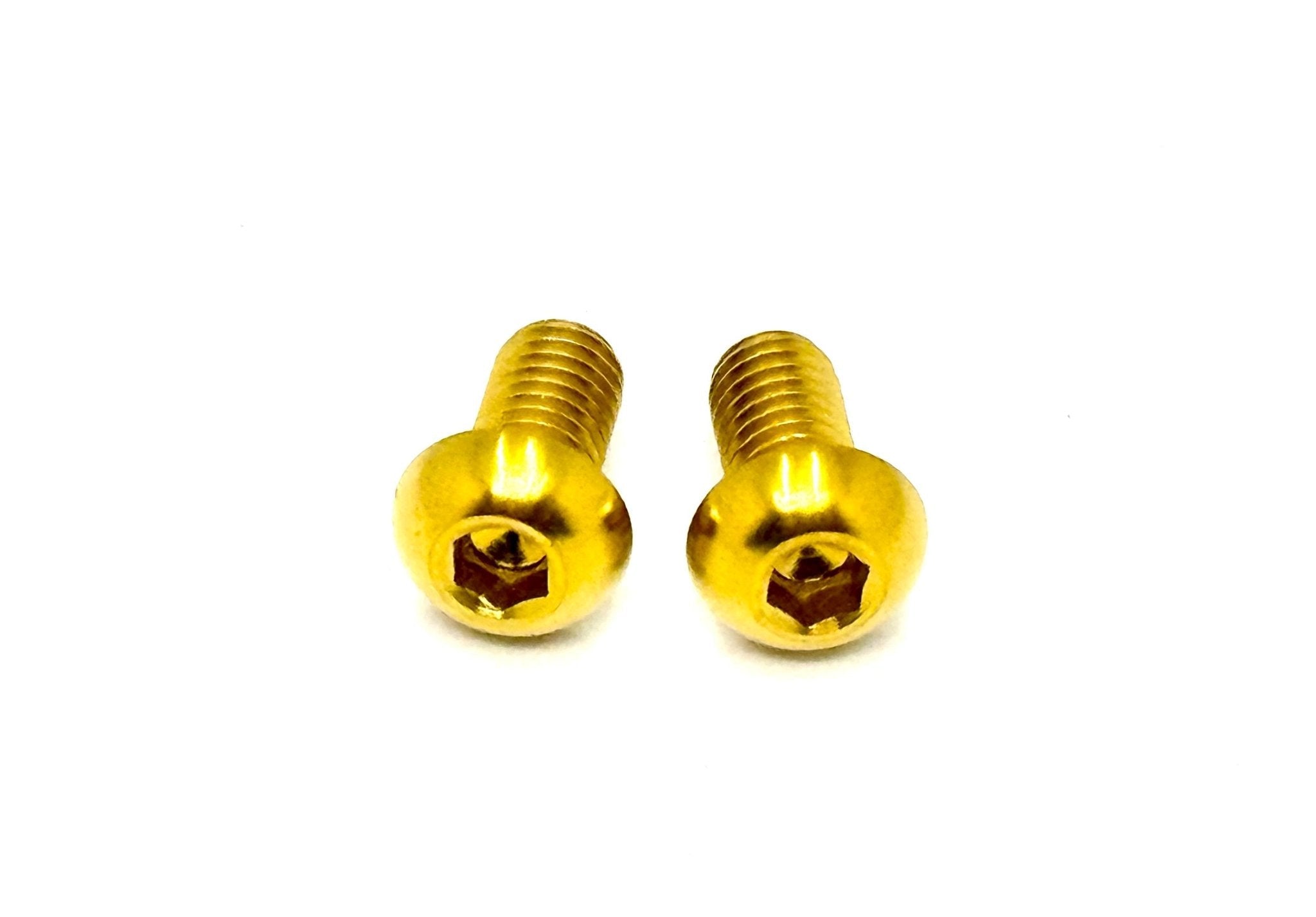 Titanium Motor Cover Bolts (Set of Two) Surron LBX, Segway, 79 Bike, E-Ride Pro